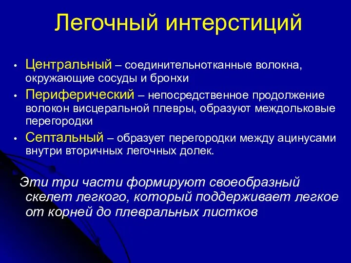 Легочный интерстиций Центральный – соединительнотканные волокна, окружающие сосуды и бронхи Периферический