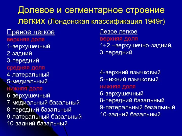 Долевое и сегментарное строение легких (Лондонская классификация 1949г) Правое легкое верхняя