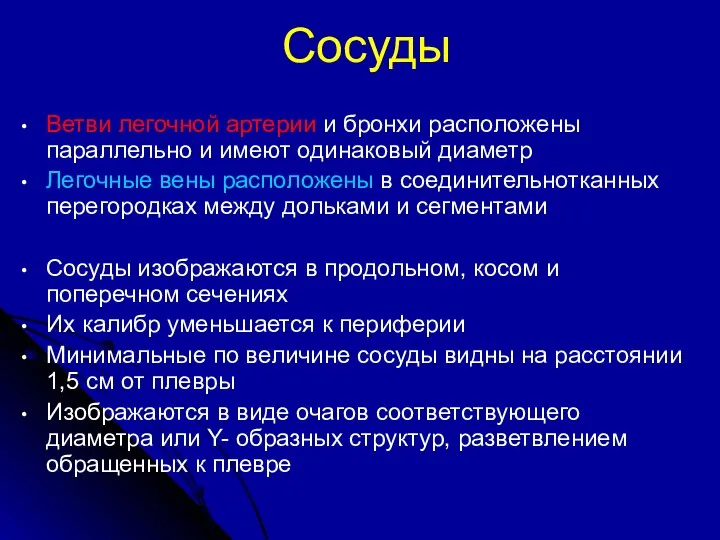 Сосуды Ветви легочной артерии и бронхи расположены параллельно и имеют одинаковый