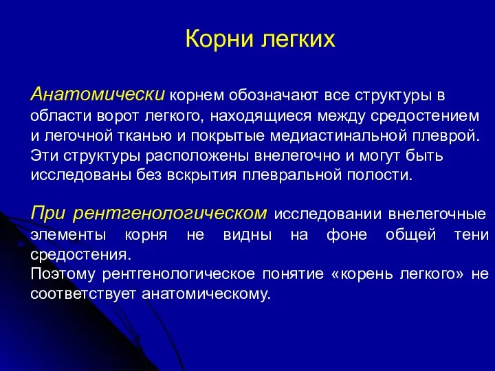 Корни легких Анатомически корнем обозначают все структуры в области ворот легкого,