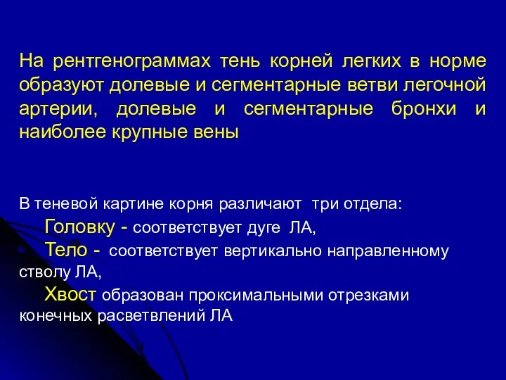 На рентгенограммах тень корней легких в норме образуют долевые и сегментарные