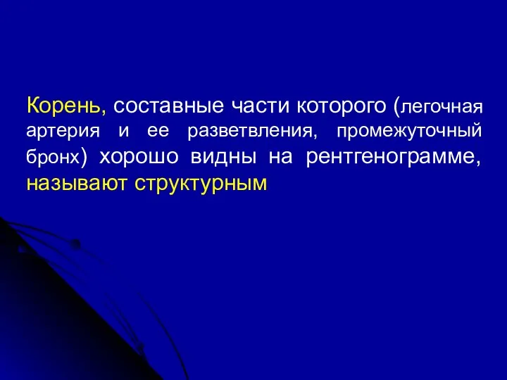 Корень, составные части которого (легочная артерия и ее разветвления, промежуточный бронх)