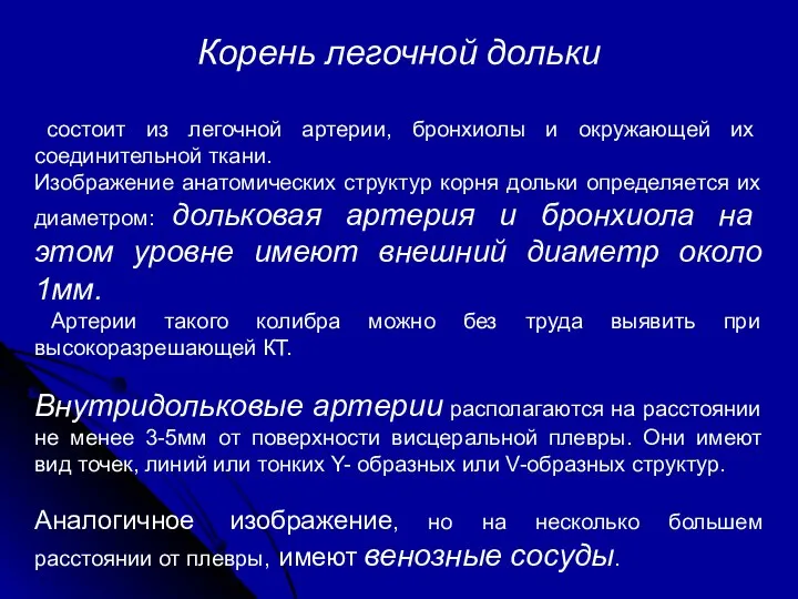 Корень легочной дольки состоит из легочной артерии, бронхиолы и окружающей их