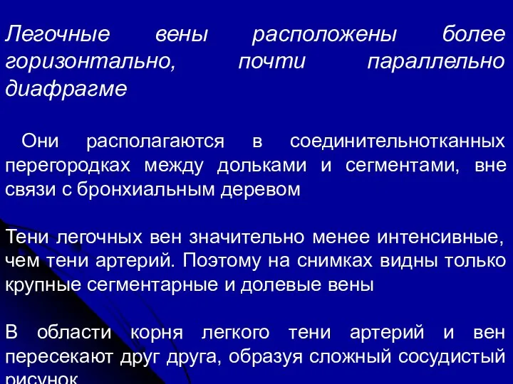 Легочные вены расположены более горизонтально, почти параллельно диафрагме Они располагаются в