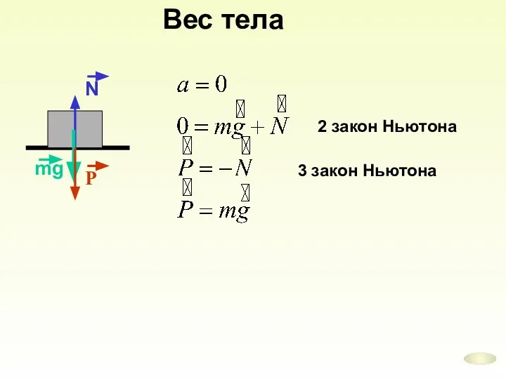 Вес тела