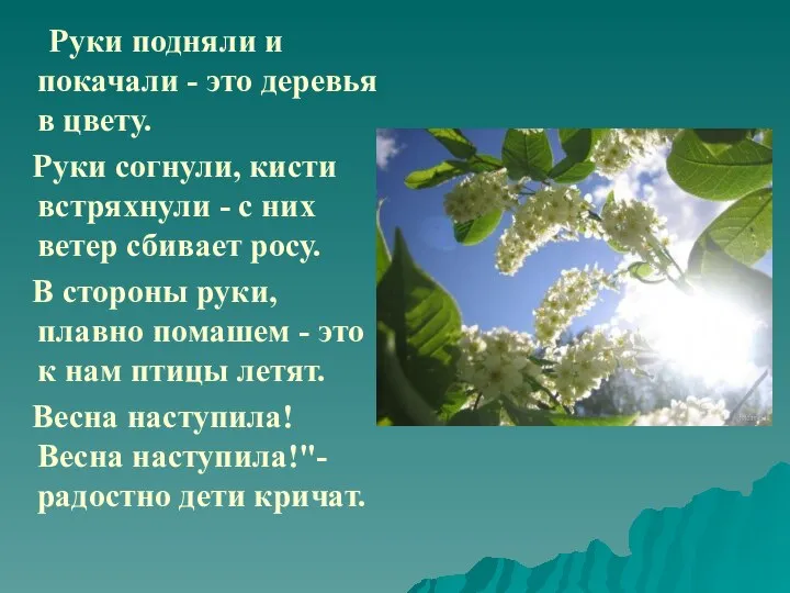 Руки подняли и покачали - это деревья в цвету. Руки согнули,