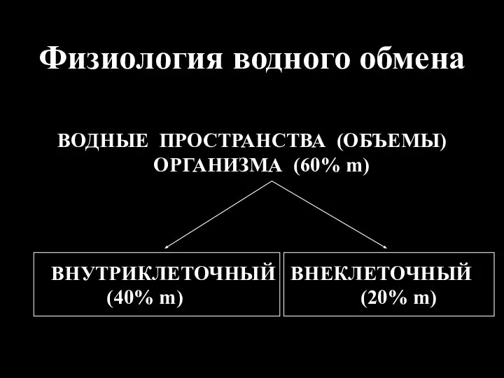 Физиология водного обмена ВОДНЫЕ ПРОСТРАНСТВА (ОБЪЕМЫ) ОРГАНИЗМА (60% m) ВНУТРИКЛЕТОЧНЫЙ ВНЕКЛЕТОЧНЫЙ (40% m) (20% m)