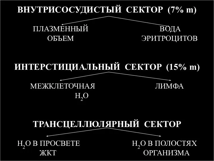 ВНУТРИСОСУДИСТЫЙ СЕКТОР (7% m) ПЛАЗМЕННЫЙ ВОДА ОБЪЕМ ЭРИТРОЦИТОВ ИНТЕРСТИЦИАЛЬНЫЙ СЕКТОР (15%