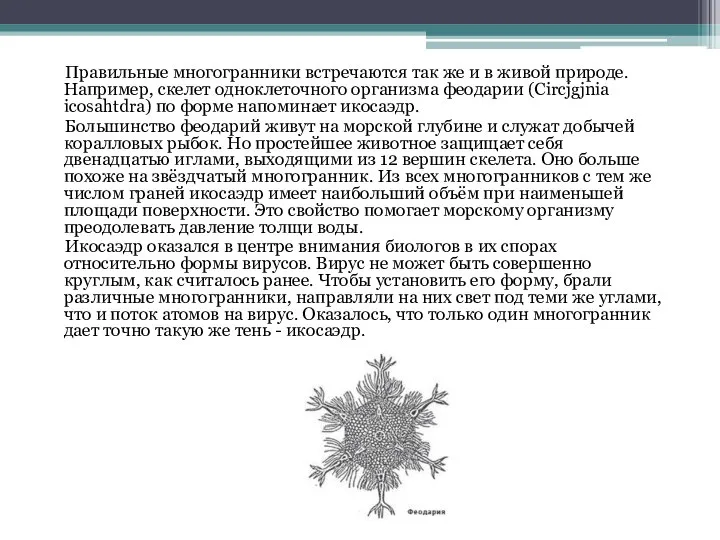 Правильные многогранники встречаются так же и в живой природе. Например, скелет