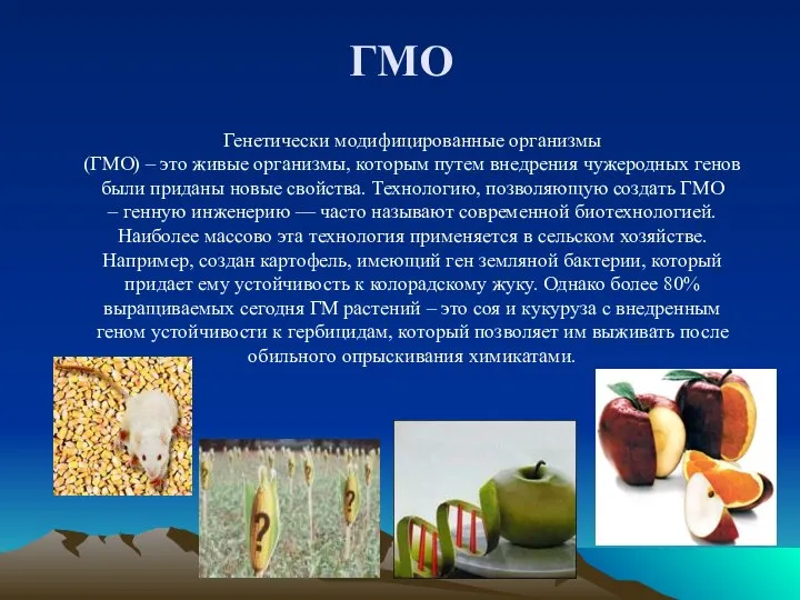 Генетически модифицированные организмы (ГМО) – это живые организмы, которым путем внедрения