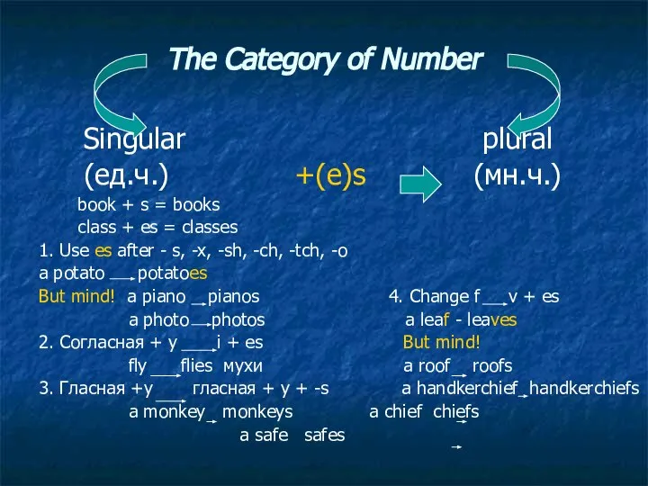 The Category of Number Singular plural (ед.ч.) +(e)s (мн.ч.) book +