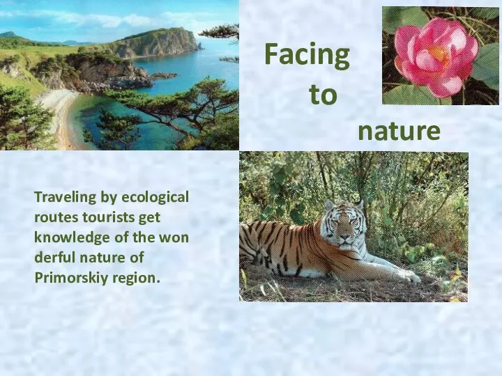 Facing to nature Traveling by ecological routes tourists get knowledge of