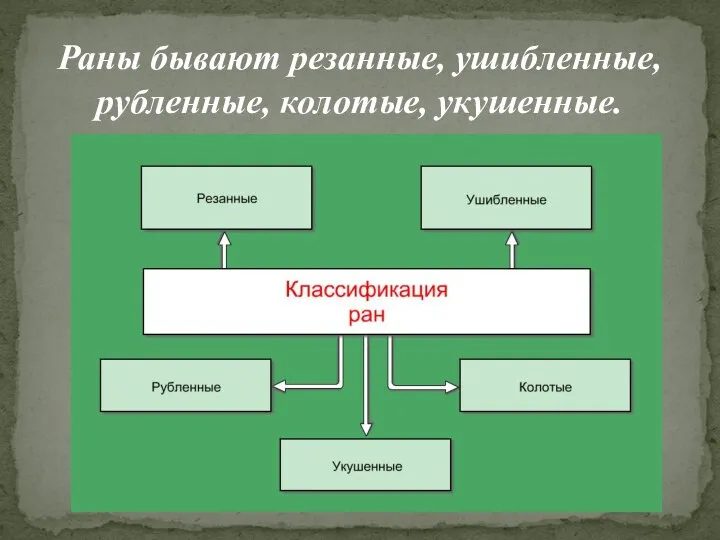 Раны бывают резанные, ушибленные, рубленные, колотые, укушенные.