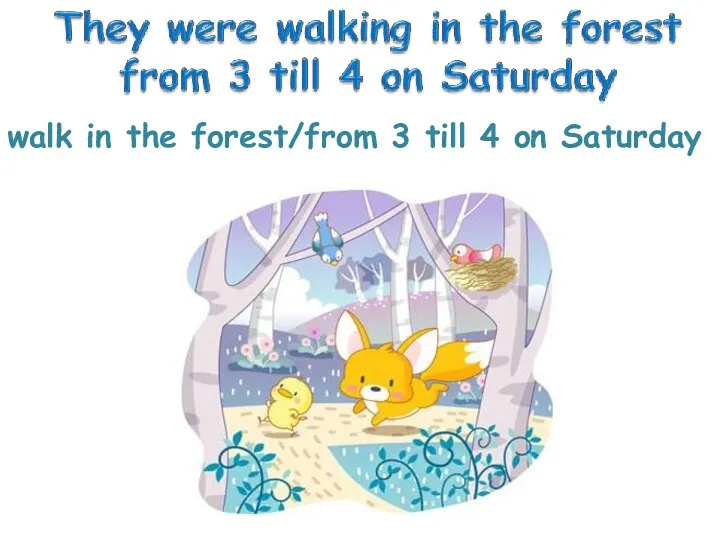 walk in the forest/from 3 till 4 on Saturday