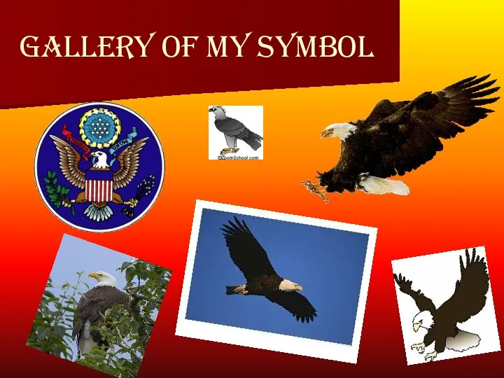 Gallery of my symbol