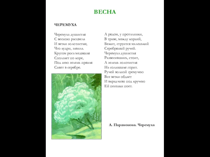 ВЕСНА ЧЕРЕМУХА Черемуха душистая С весною расцвела И ветки золотистые, Что