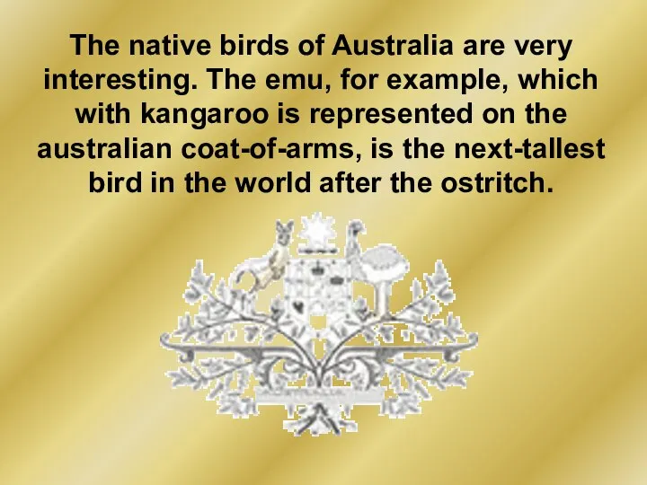 The native birds of Australia are very interesting. The emu, for
