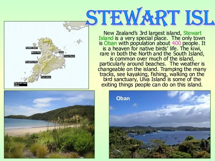 New Zealand’s 3rd largest island, Stewart Island is a very special