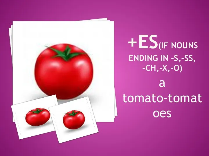 +ES(if nouns ending in –s,-ss, -ch,-x,-o) a tomato-tomatoes