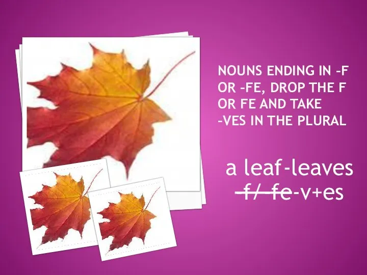 Nouns ending in –f or –fe, drop the f or fe