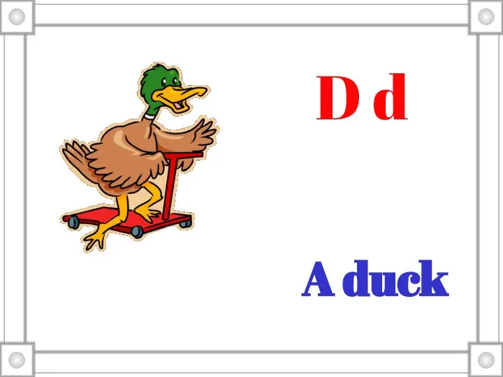 A duck D d