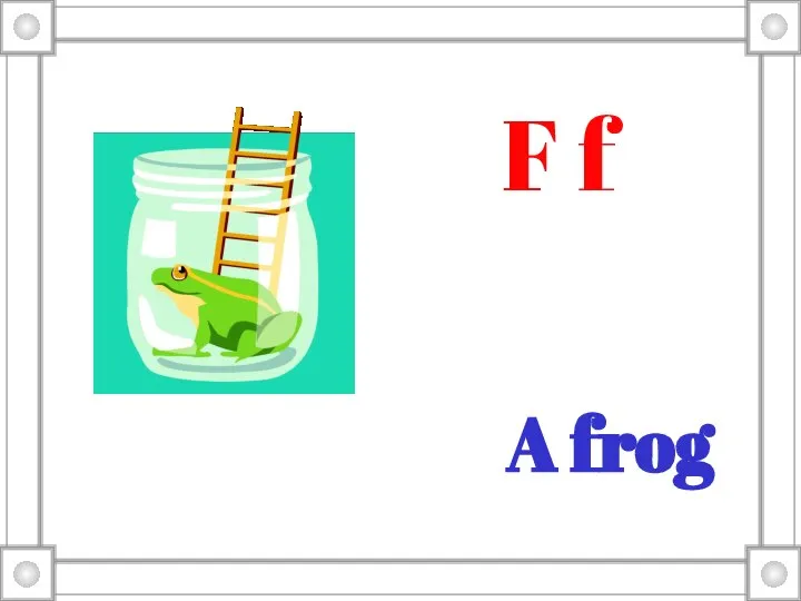 A frog F f