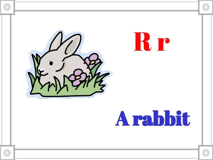 A rabbit R r