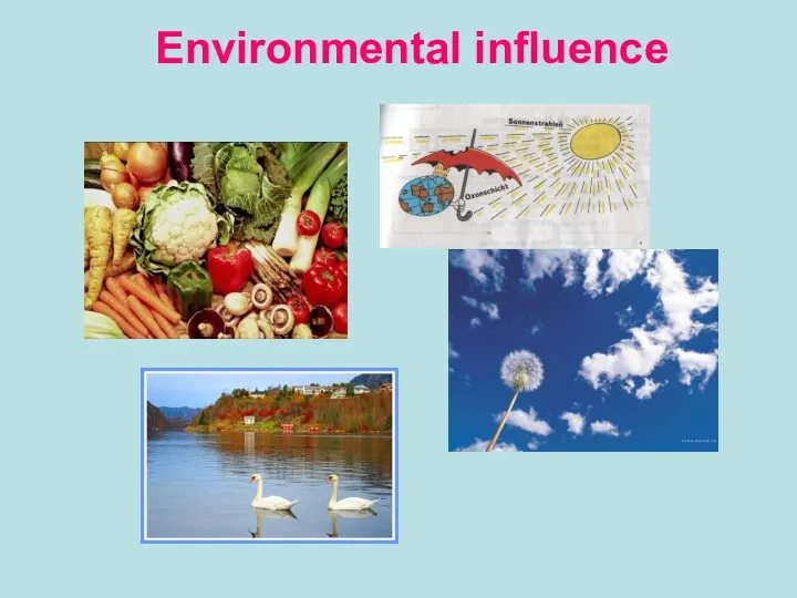 Environmental influence