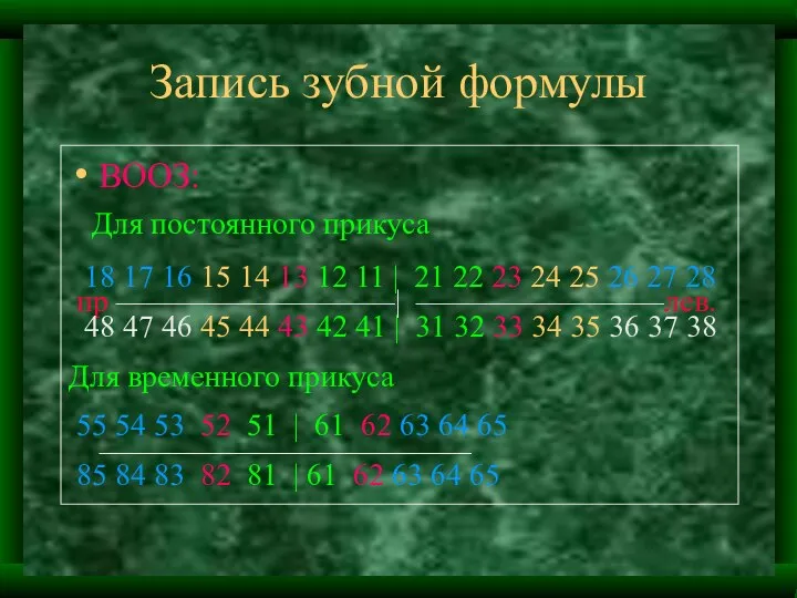 Запись зубной формулы ВООЗ: Для постоянного прикуса 18 17 16 15