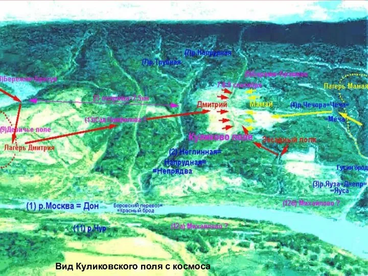 Вид Куликовского поля с космоса