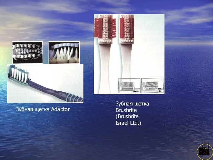 АНИСИМОВА Л.В.кмн. 3убная щетка Adaptor Зубная щетка Brushrite (Brushrite Israel Ltd.)