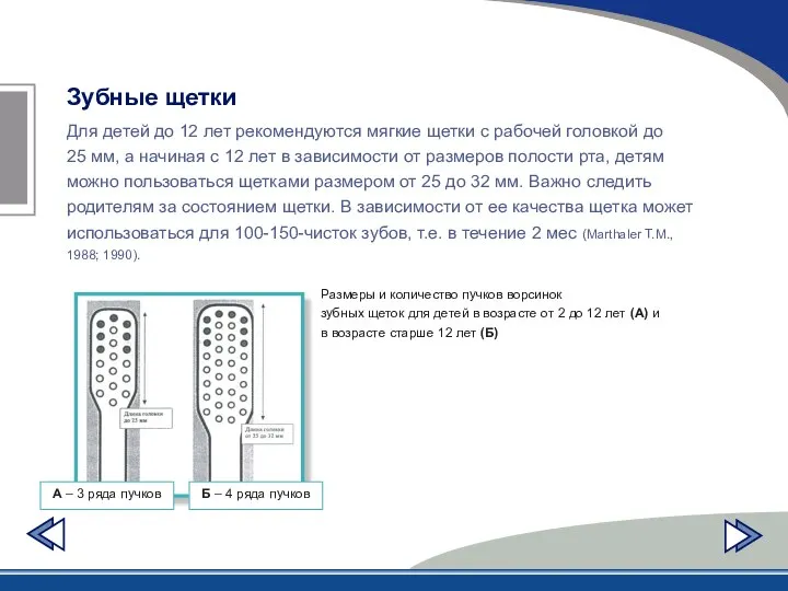 Зубные щетки Для детей до 12 лет рекомендуются мягкие щетки с