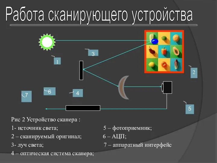 Работа сканирующего устройства Рис 2 Устройство сканера : 1- источник света;