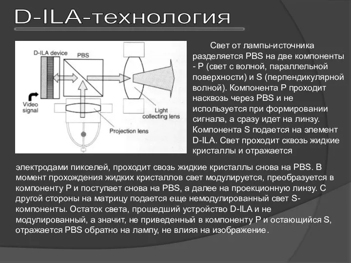 D-ILA-технология Свет от лампы-источника разделяется PBS на две компоненты - P