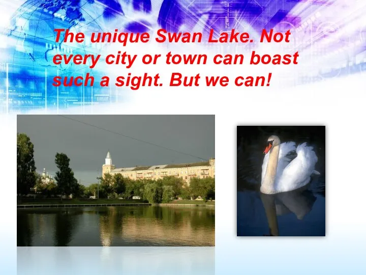 The unique Swan Lake. Not every city or town can boast