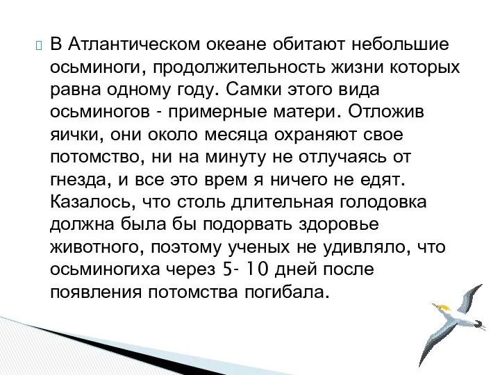 В Атлантическом океане обитают небольшие осьминоги, продолжительность жизни которых равна одному