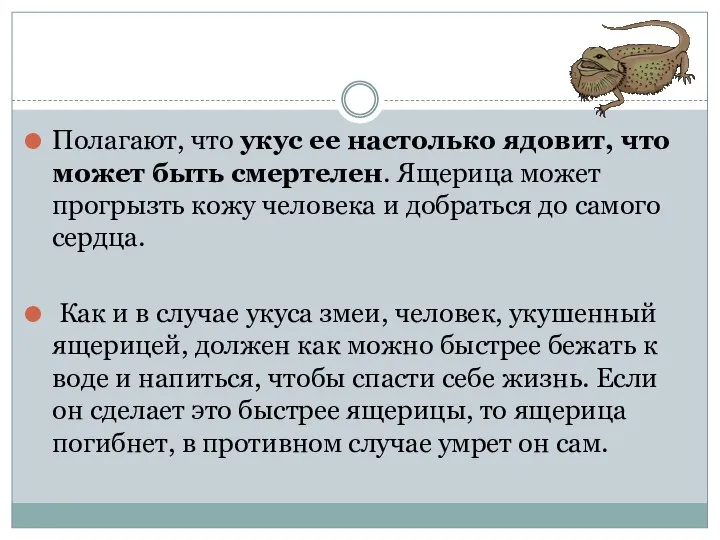 Полагают, что укус ее настолько ядовит, что может быть смертелен. Ящерица