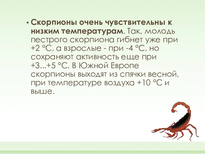 Скорпионы очень чувствительны к низким температурам. Так, молодь пестрого скорпиона гибнет