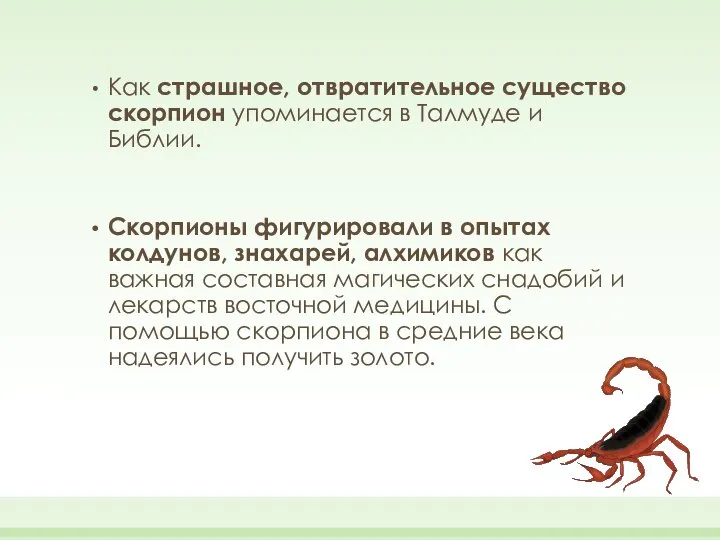 Как страшное, отвратительное существо скорпион упоминается в Талмуде и Библии. Скорпионы