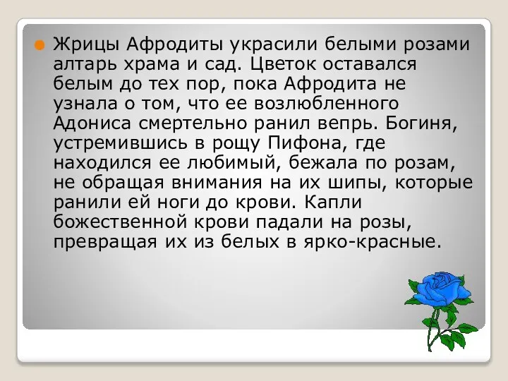 Жрицы Афродиты украсили белыми розами алтарь храма и сад. Цветок оставался