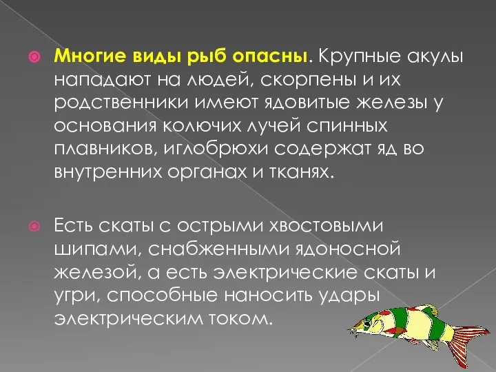 Многие виды рыб опасны. Крупные акулы нападают на людей, скорпены и