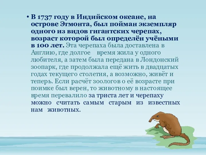 В 1737 году в Индийском океане, на острове Эгмонта, был пойман