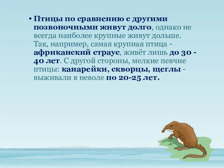 Птицы по сравнению с другими позвоночными живут долго, однако не всегда