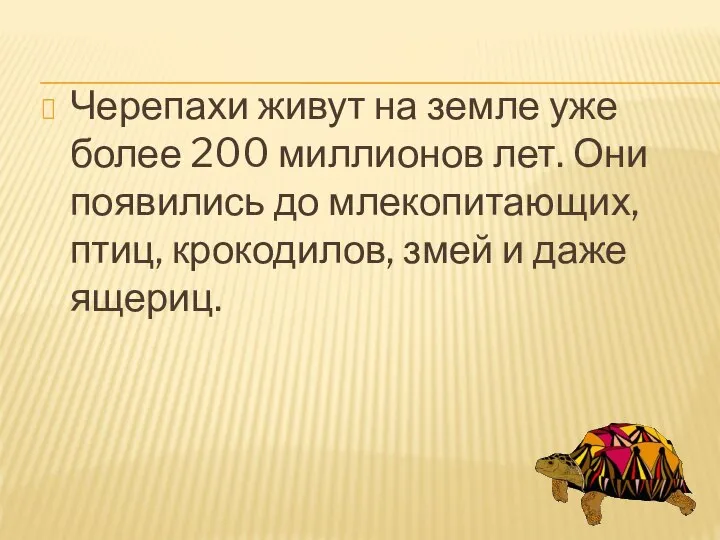 Черепахи живут на земле уже более 200 миллионов лет. Они появились