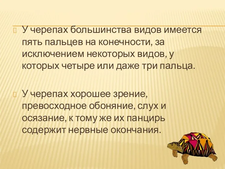 У черепах большинства видов имеется пять пальцев на конечности, за исключением