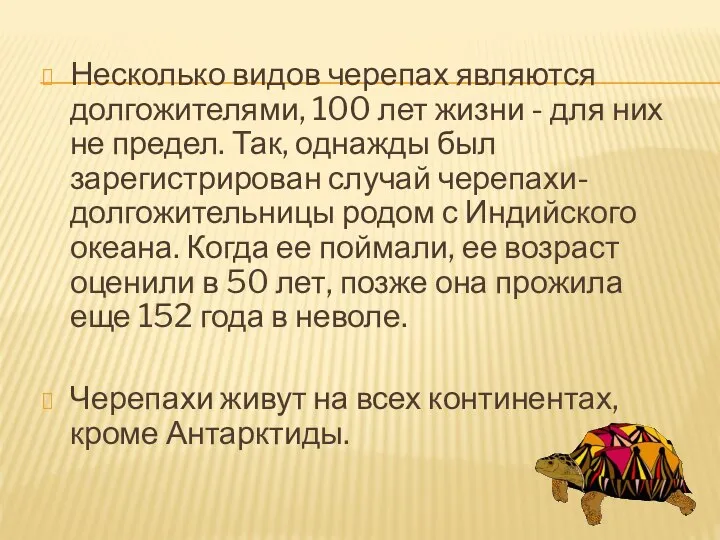 Несколько видов черепах являются долгожителями, 100 лет жизни - для них