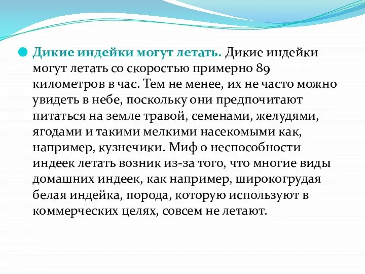 Дикие индейки могут летать. Дикие индейки могут летать со скоростью примерно