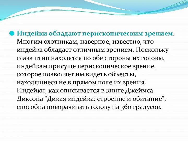 Индейки обладают перископическим зрением. Многим охотникам, наверное, известно, что индейка обладает