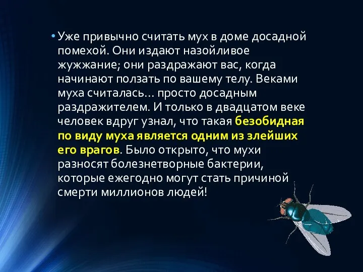 Уже привычно считать мух в доме досадной помехой. Они издают назойливое