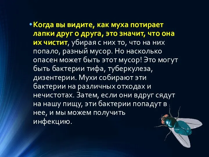 Когда вы видите, как муха потирает лапки друг о друга, это